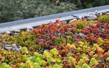 the cost of Powderham green roof installation