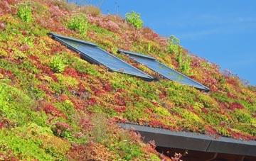 Powderham living roof systems