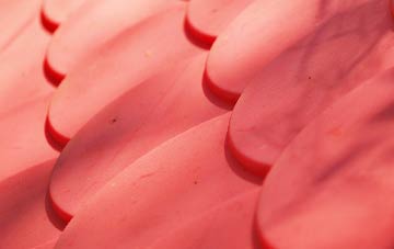 Powderham plastic roof costs