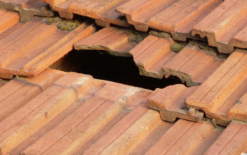 roof repair Powderham, Devon